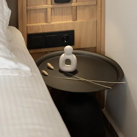 别墅 Piccadill Luxury 迈索尼
