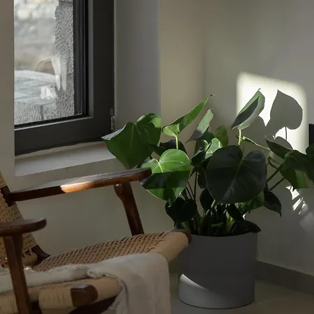 Piccadill Luxury Villa