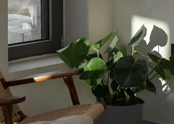 Piccadill Luxury Villa